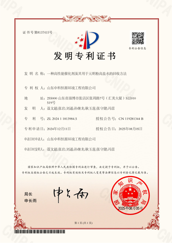 一種高性能催化劑及其用于元明粉高鹽水的回收方法.png